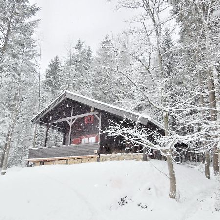 Blockhaus Bodefall Villa Braunlage Buitenkant foto