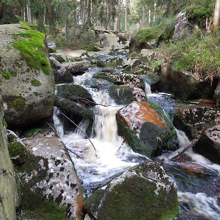 Blockhaus Bodefall Braunlage Buitenkant foto