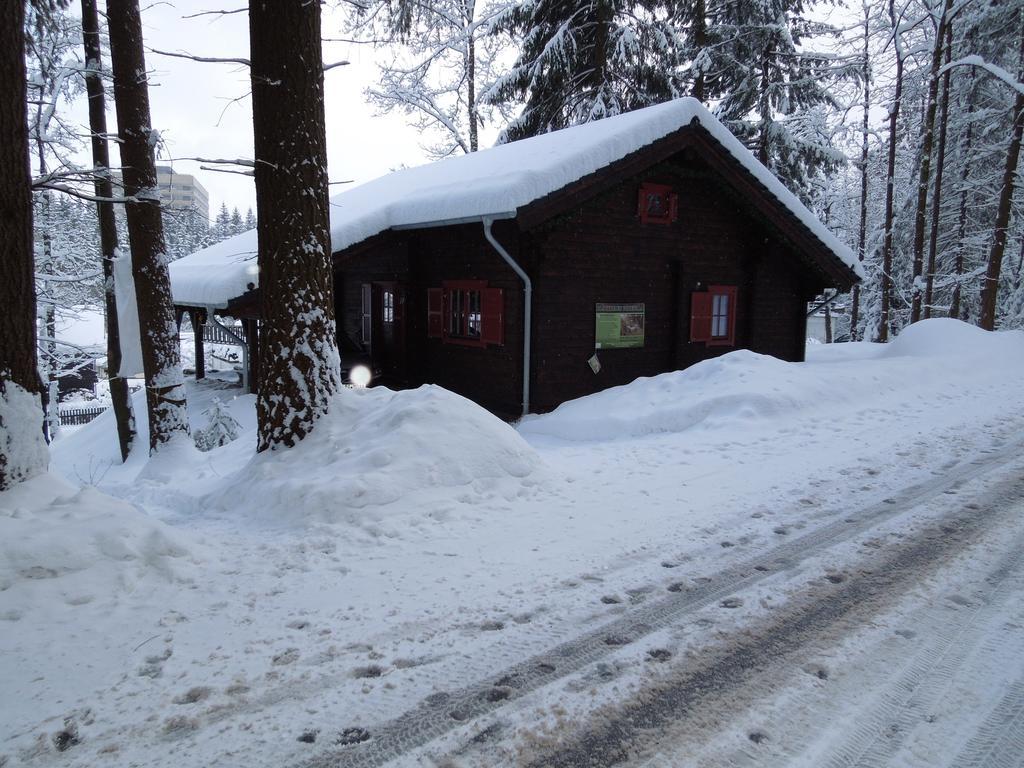 Blockhaus Bodefall Villa Braunlage Kamer foto