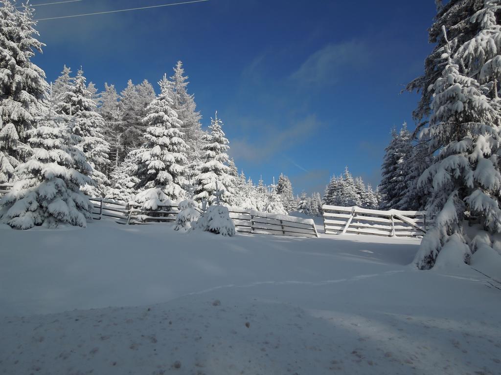 Blockhaus Bodefall Braunlage Kamer foto