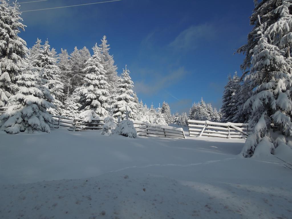 Blockhaus Bodefall Villa Braunlage Kamer foto