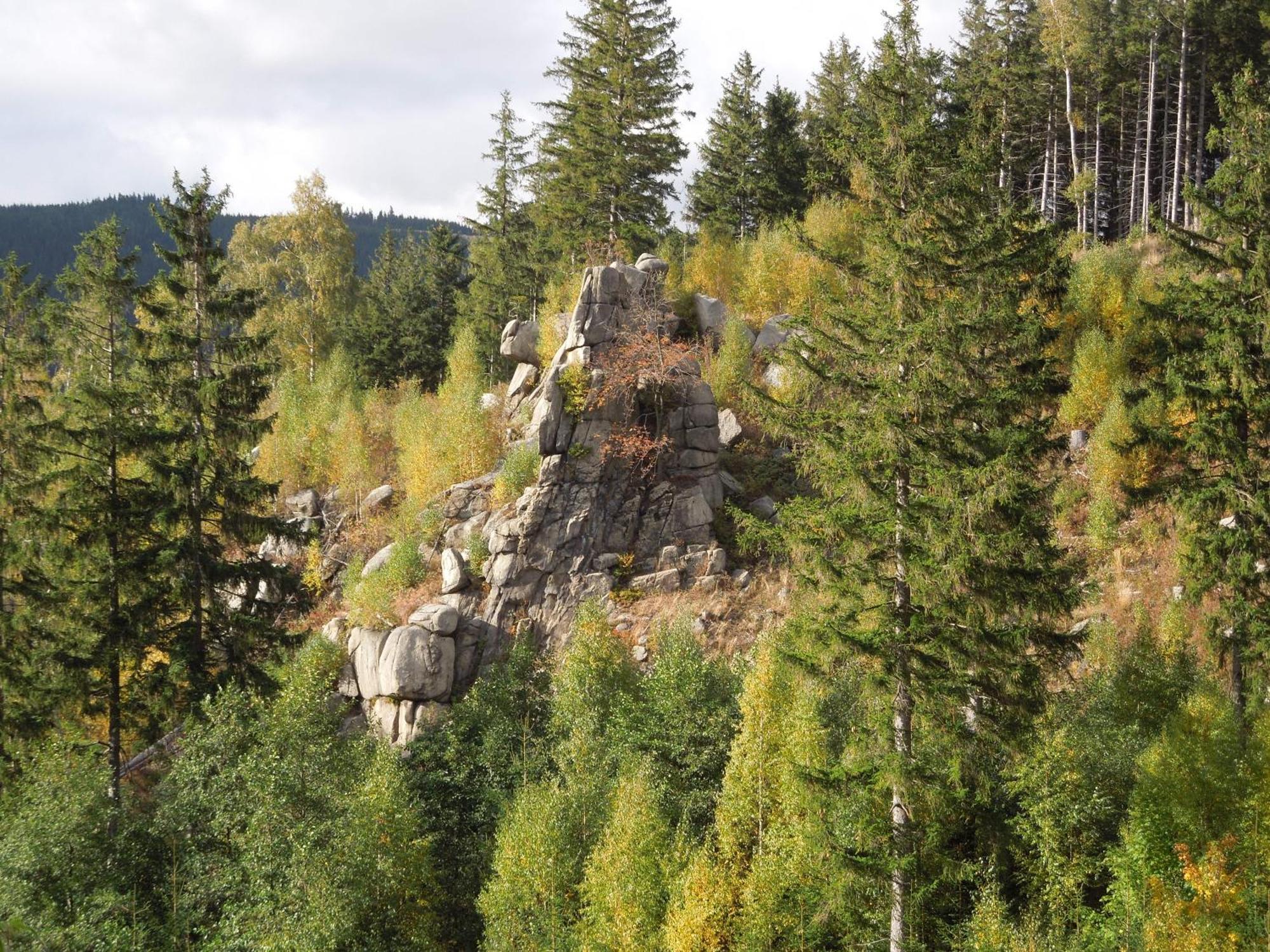 Blockhaus Bodefall Braunlage Buitenkant foto