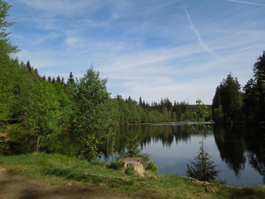 Blockhaus Bodefall Braunlage Buitenkant foto