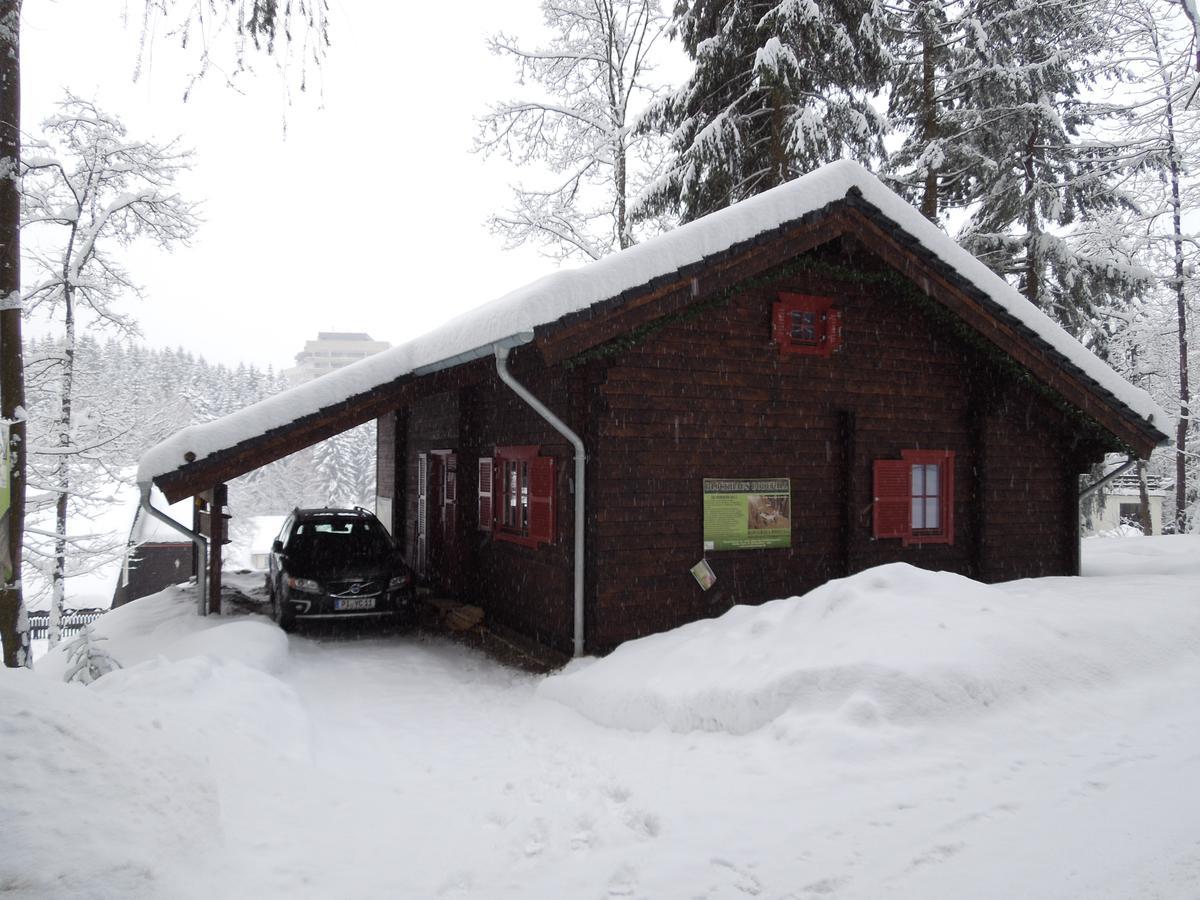 Blockhaus Bodefall Braunlage Buitenkant foto