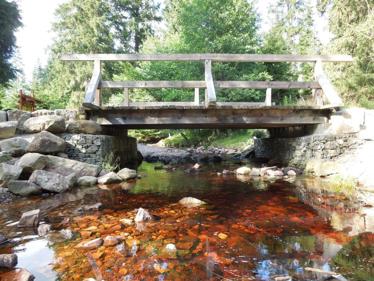 Blockhaus Bodefall Braunlage Buitenkant foto